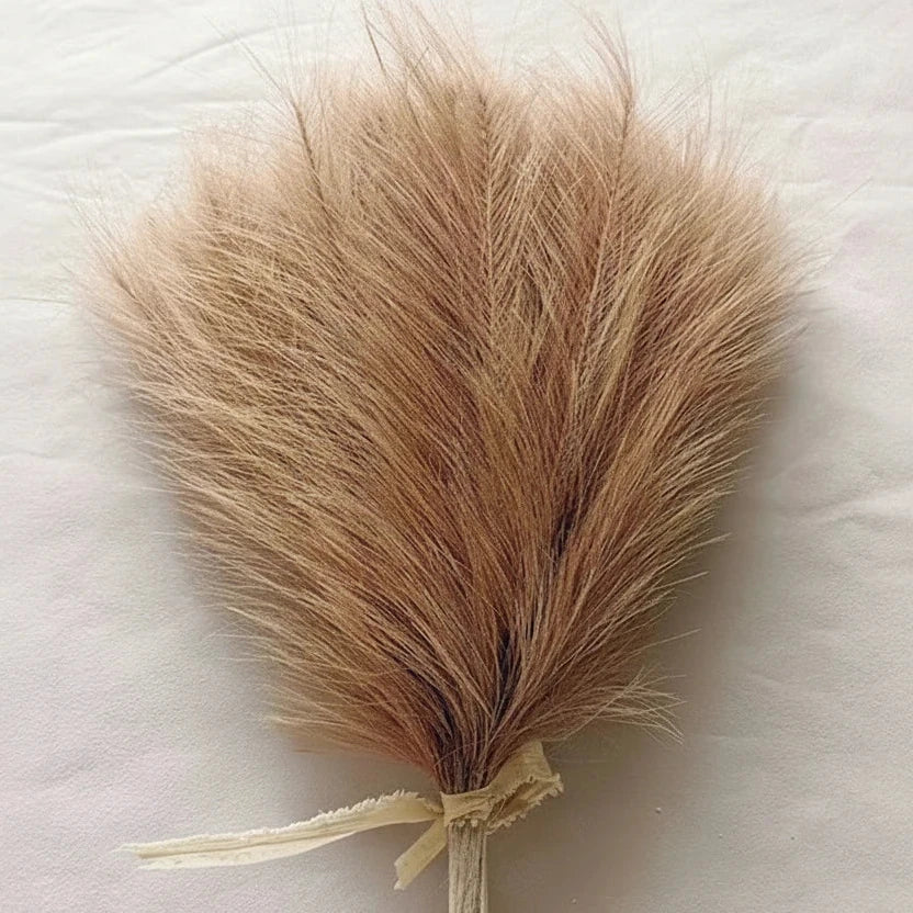 Pampas Grass Stems, Set of 5 - photo 2