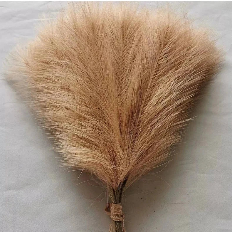 Pampas Grass Stems, Set of 5 - photo 3
